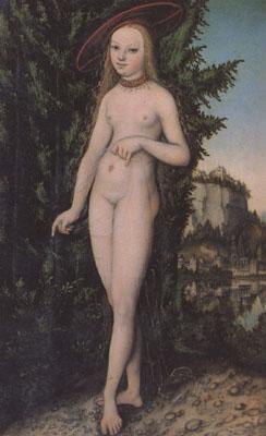 Lucas  Cranach Venus in a Landscape (mk05)